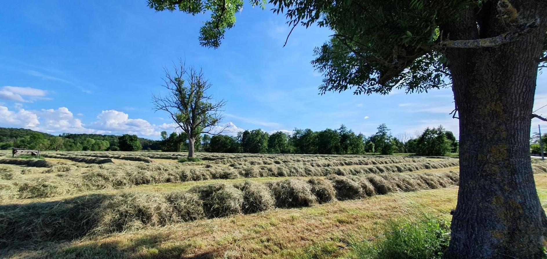 Bed and Breakfast Chez Bene Rochefort Exterior foto